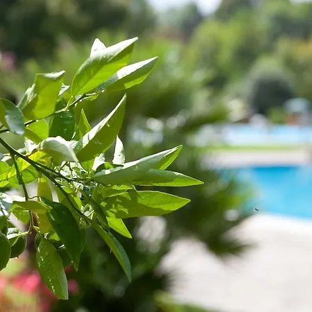 Hotell Harrys' Garden Abano Terme