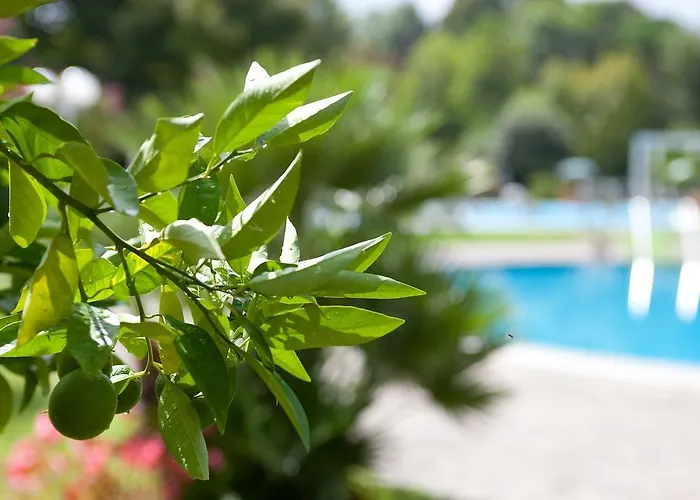 فندق Harrys' Garden أبانو تيرمي